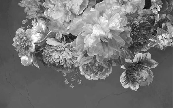 Tapete Pfingstrosenblüte schwarz und weiß