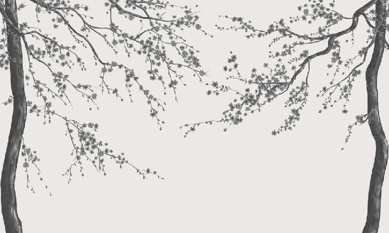 Panorama-Tapete Sakura-Blume schwarz und weiß