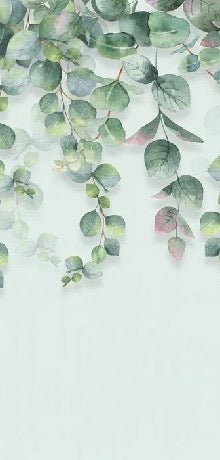 Tapete wc natur pflanze Eukalyptus