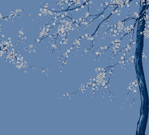 Panorama-Tapete Sakura-Blume bläulich