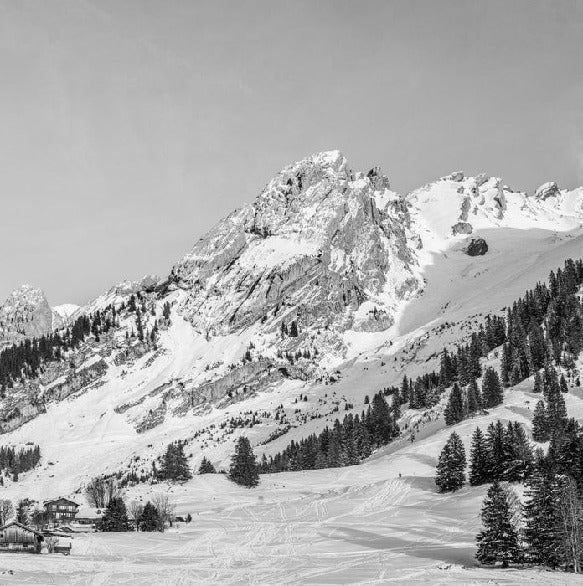 Panorama-Tapete Chalet Alm