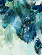 Papier Peint Plume Ethnique Paon, XXL, tendance