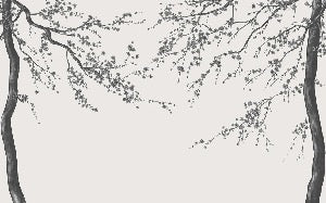 Panorama-Tapete Sakura-Blume schwarz und weiß