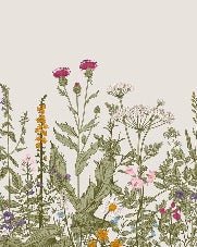 Tapete Botanische Blume Folk Romantik