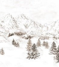 Tapete Bergmassiv der Alpen