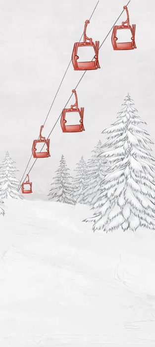 Monochromes Papier Jungle Feuille – H 250 cm x B 275 cm – Material Softouch