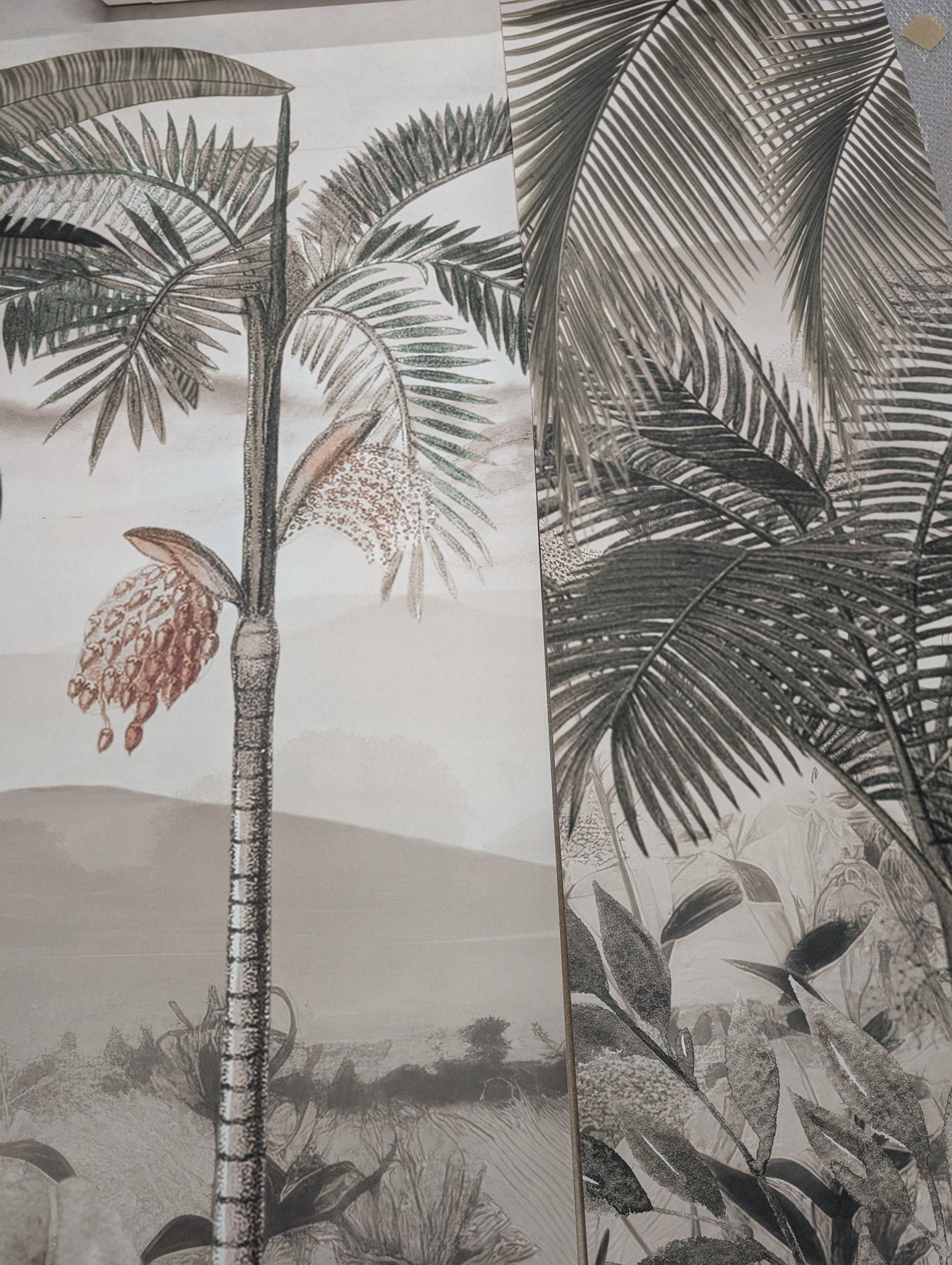 Papier Peint Panoramique L'Art de la Jungle - H221cm x L360cm - Matière Softouch - Muralconcept