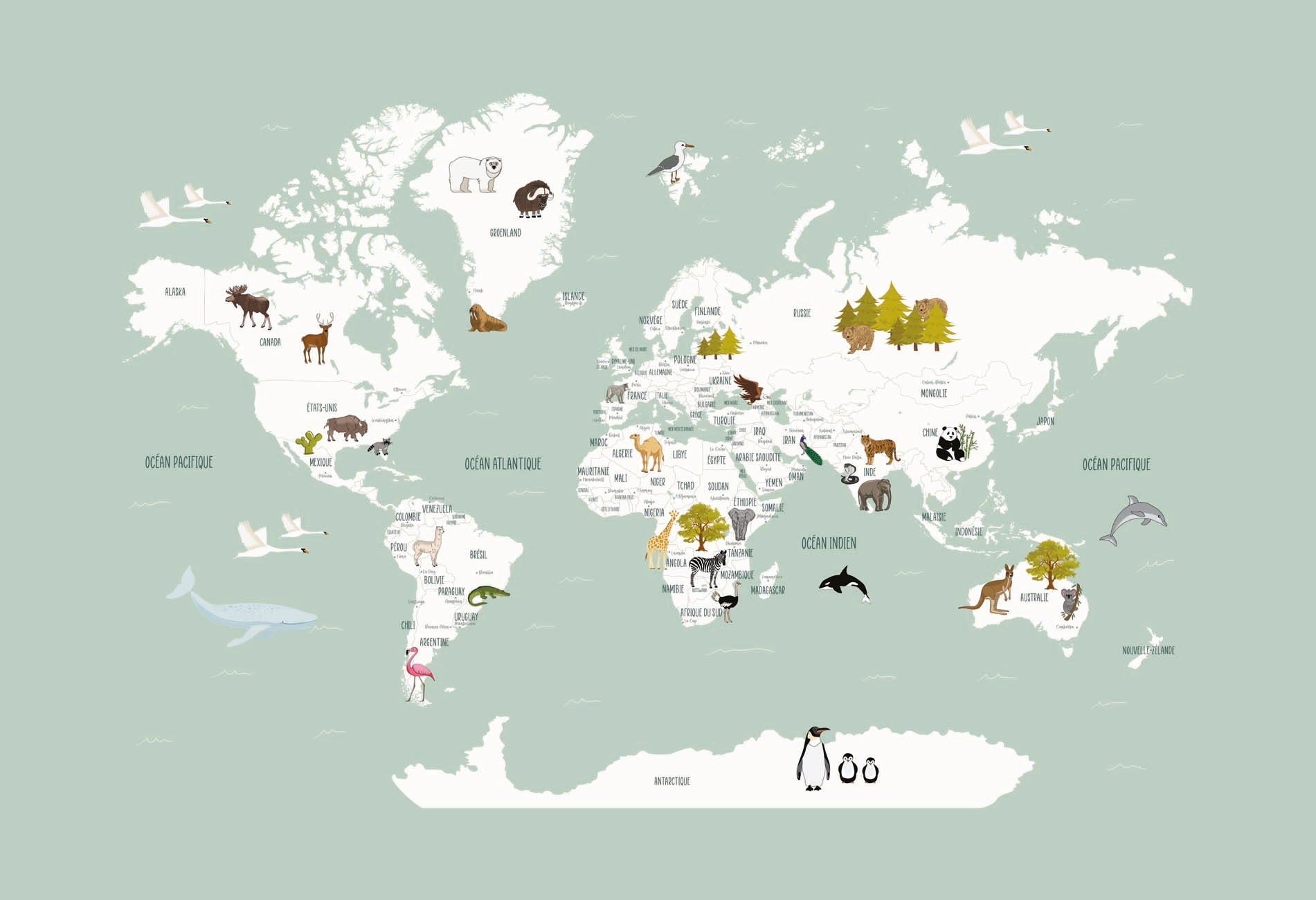 Papier peint Carte du monde en Francais enfant vert, XXL, tendance