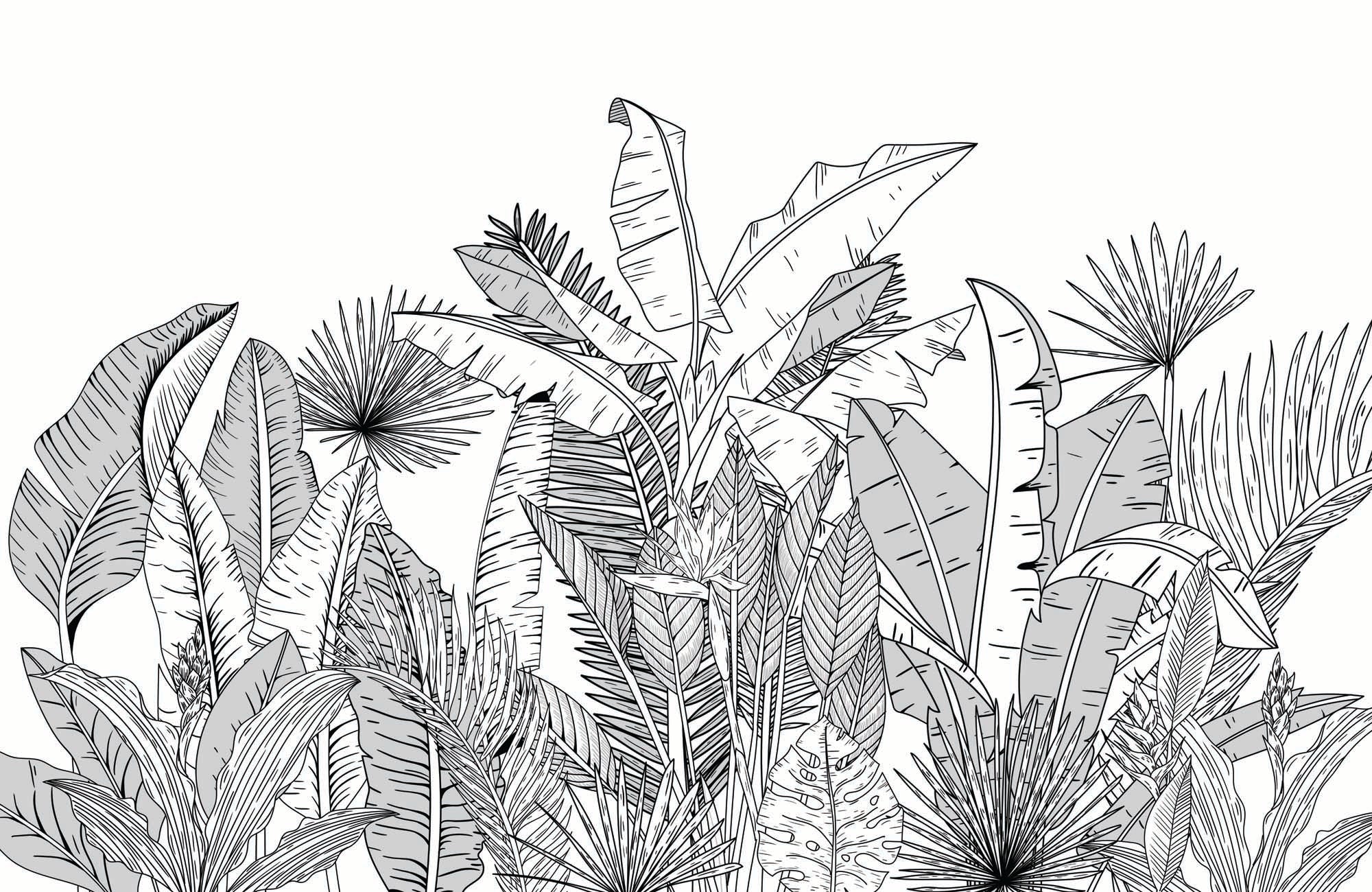 Papier peint panoramique noir et blanc botanic leaf, XXL, tendance