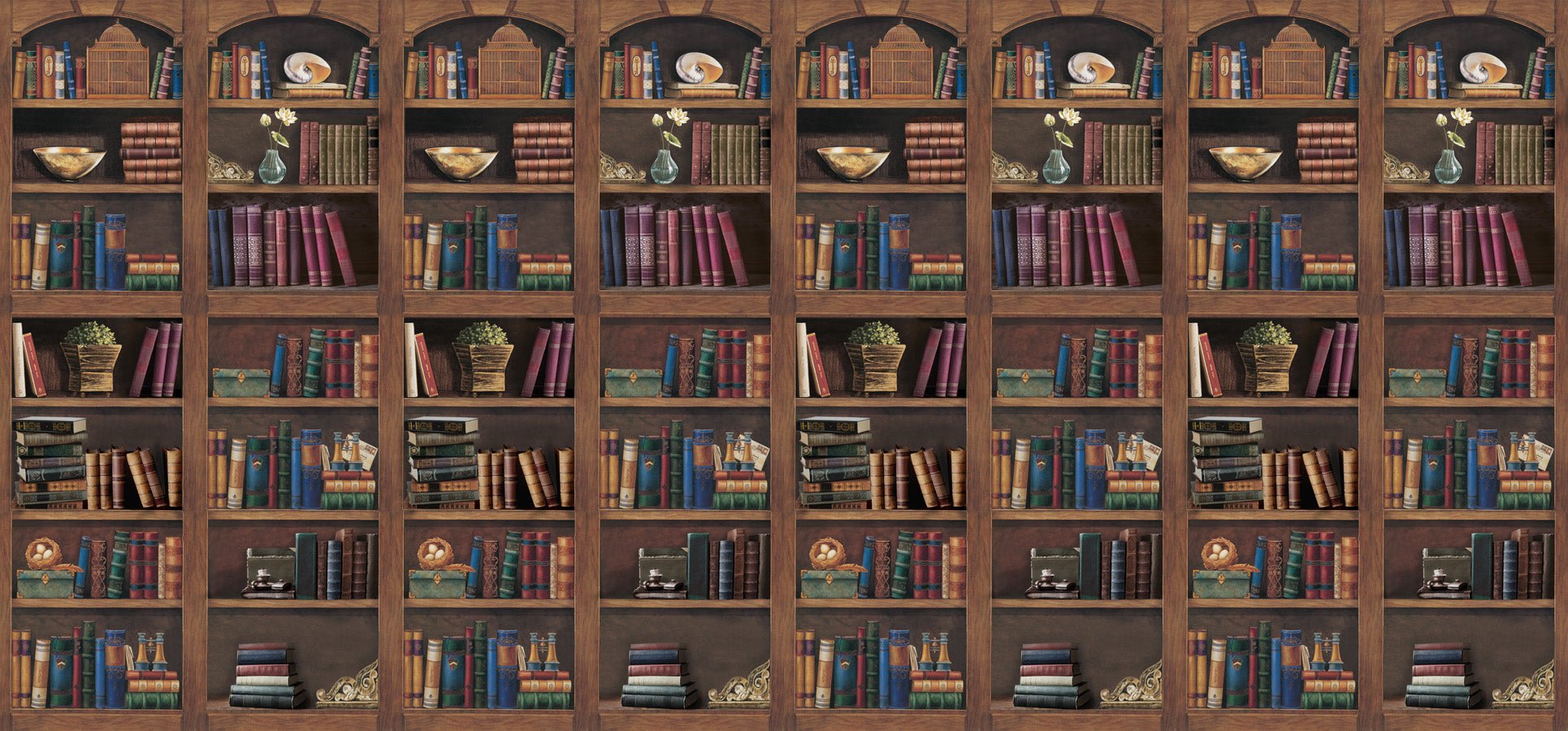 Papier peint cabinet de curiosité bibliothèque, mural concept, tendance