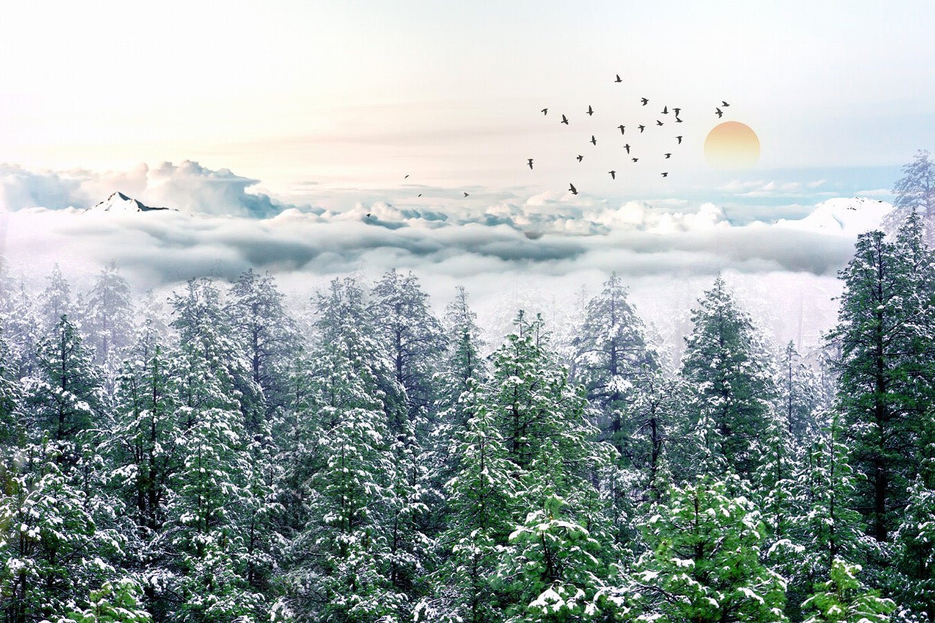 Papier peint salle de bain forêt de sapin neige, mural concept, tendance