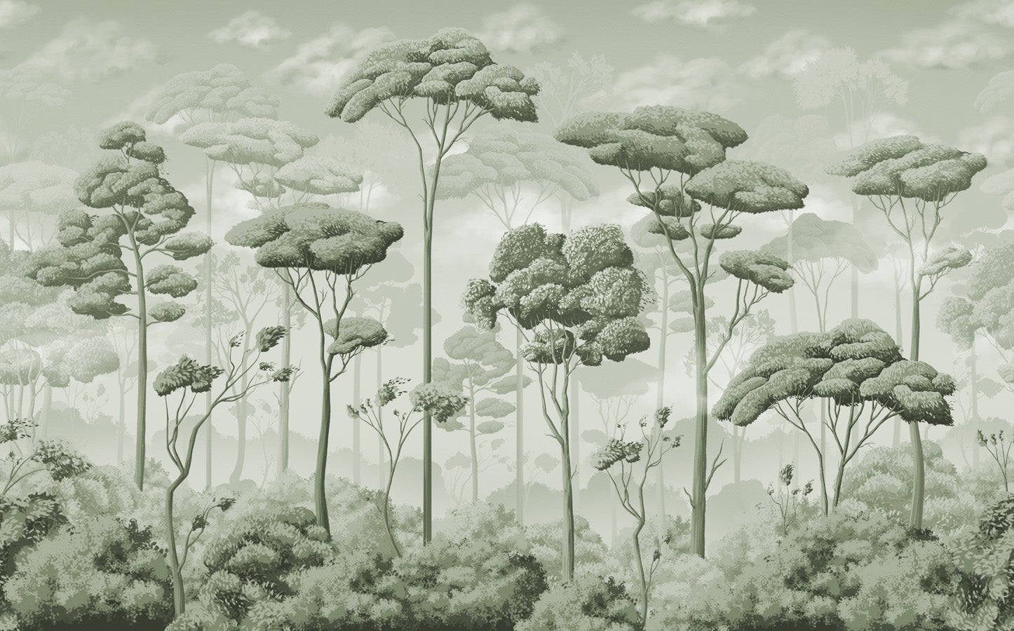 Papier peint panoramique pinède volupté vert, mural concept, tendance