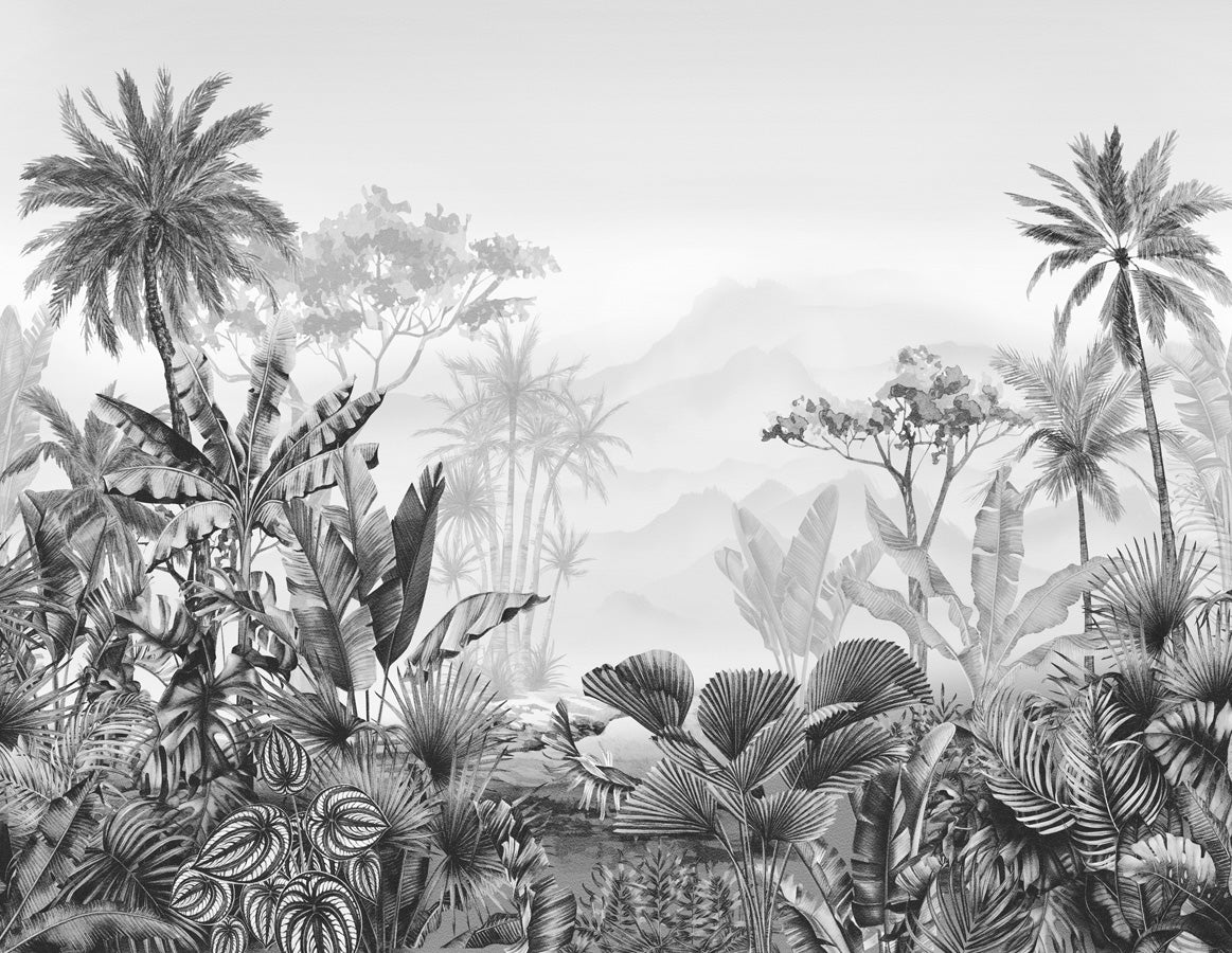Papier peint tendance tropical noir et blanc, mural concept, tendance