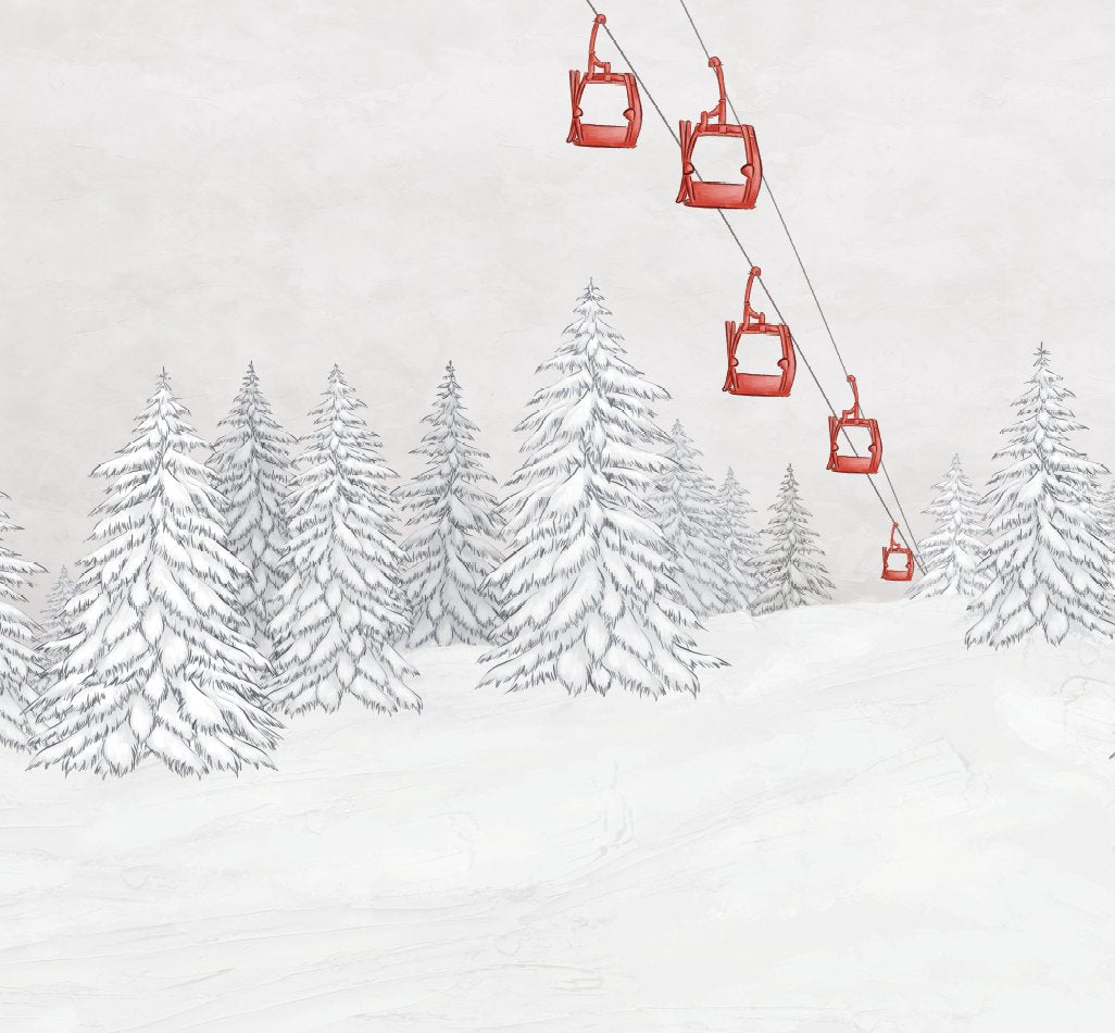 VP Mountain Wallpaper Red Cable Car L200 cm x H185 cm