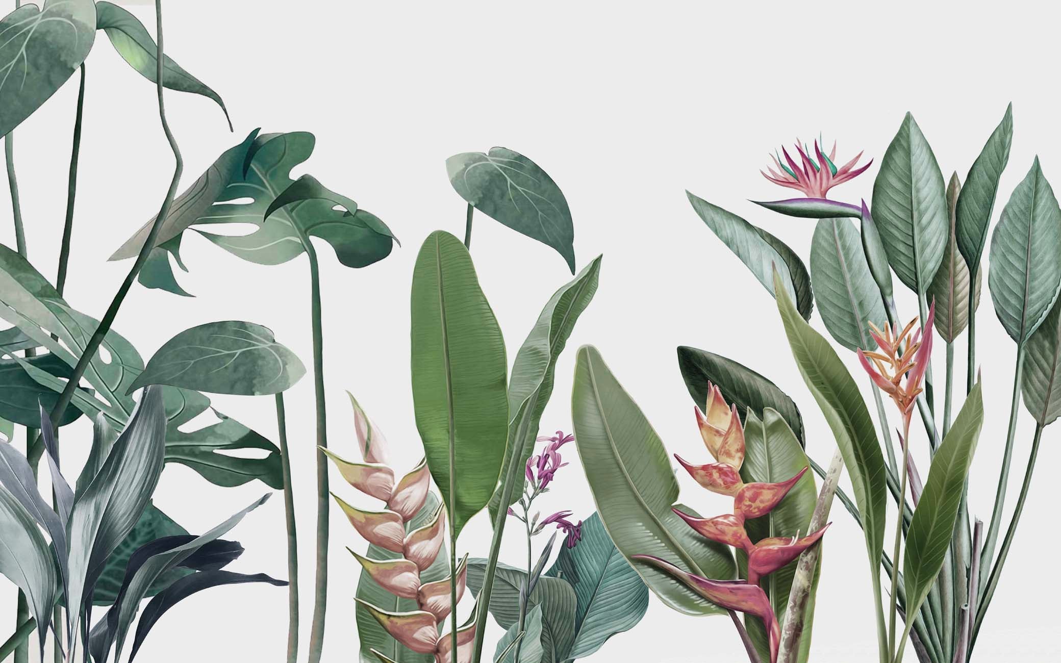 Papier peint restaurant végétal tropical, XXL, tendance