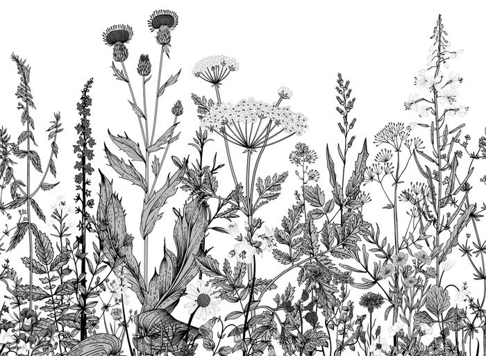 Botanische Tapete Folk schwarz und weiß