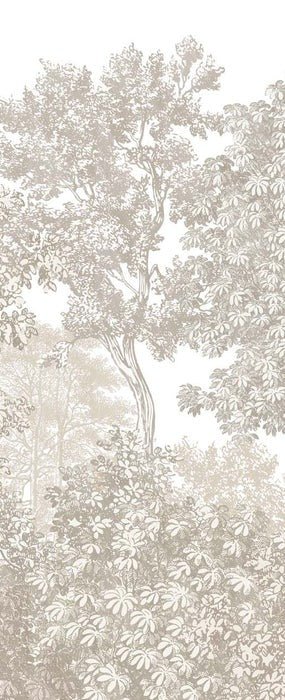 Papier peint paysage forêt gravure beige, XXL, tendance