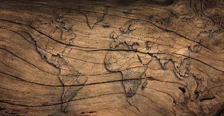 Tapete Wood & Map