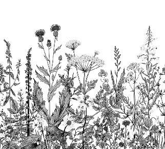 Botanische Tapete Folk schwarz und weiß