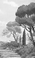 Tapete Spaziergang in den Calanques schwarz und weiß