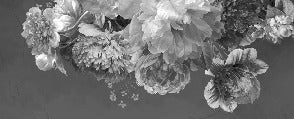 Tapete Pfingstrosenblüte schwarz und weiß