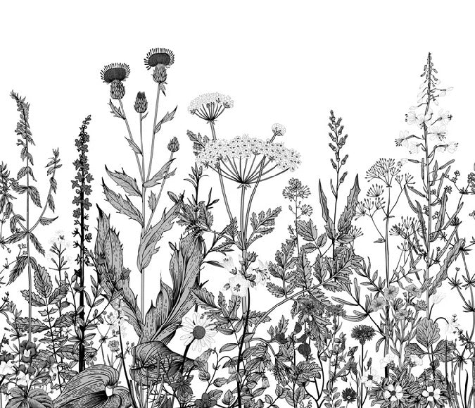 Botanische Tapete Folk schwarz und weiß