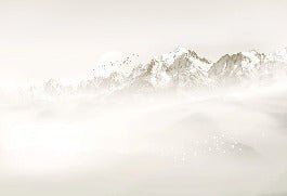 Tapete Nebliger Morgen Mont Blanc