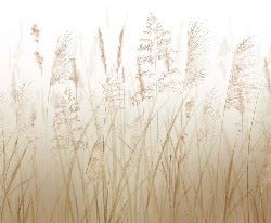 Tapete Blume der Weizenfelder