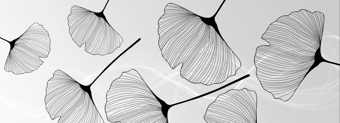 Panorama-Tapete Trend ginkgo schwarz