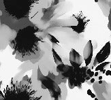 Tapete Hypnotische Blume schwarz und weiß