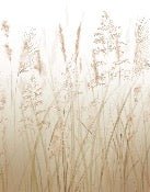 Papier peint fleur des champs de blé, XXL, tendance