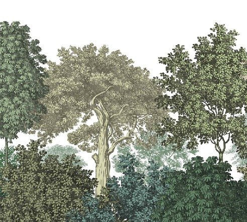 Papier peint restaurant paysage forêt gravure, XXL, tendance