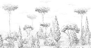 Papier peint panoramique forêt antique, XXL, tendance