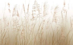 Tapete Blume der Weizenfelder