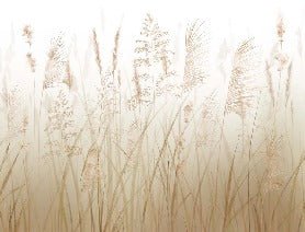 Tapete Blume der Weizenfelder
