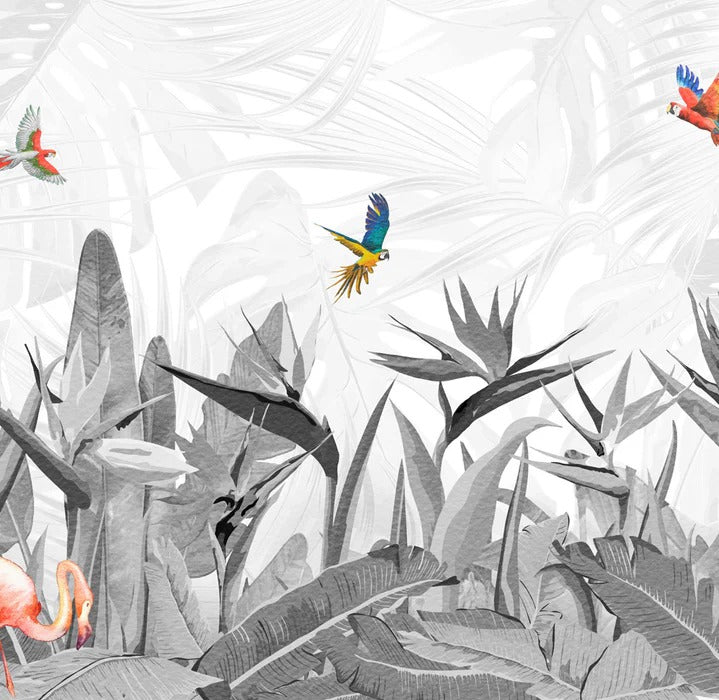 Tapete schwarz und weiß Paradiesvogel