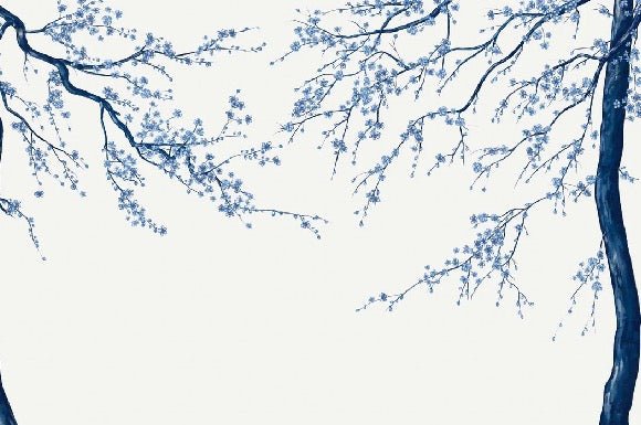 Panorama-Tapete Sakura-Blume weiß