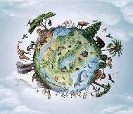 Kindertapete Planet Tiere