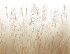 Papier peint fleur des champs de blé, XXL, tendance