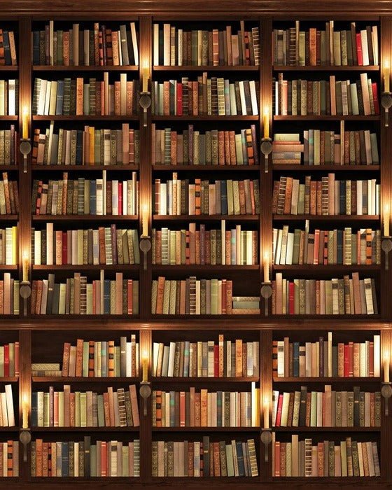 Papier peint trompe l'oeil Authentique Bibliothèque, XXL, tendance
