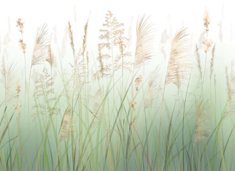 Tapete Blume von grünen Weizenfeldern