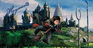Panorama-Tapete Harry Potter Quidditch-Match Malerei