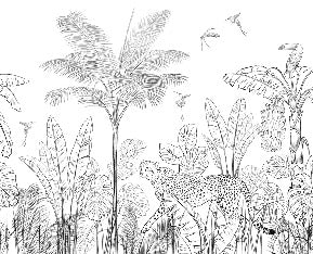 Tapete Dschungel schwarz und weiß Leopard