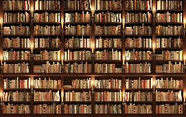 Papier peint trompe l'oeil Authentique Bibliothèque, XXL, tendance