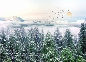 Vlies-Panoramatapete Tannenwald Schnee