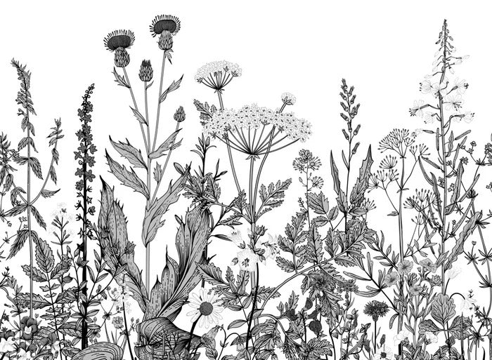 Botanische Tapete Folk schwarz und weiß