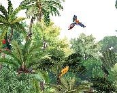 Kindertapete Exotische Papageien