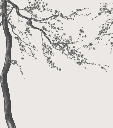Panorama-Tapete Sakura-Blume schwarz und weiß