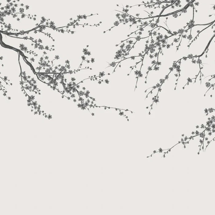 Papier peint panoramique fleur Sakura noir et blanc, XXL, tendance
