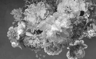 Tapete Pfingstrosenblüte schwarz und weiß